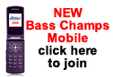 Mobile Text subscibe image