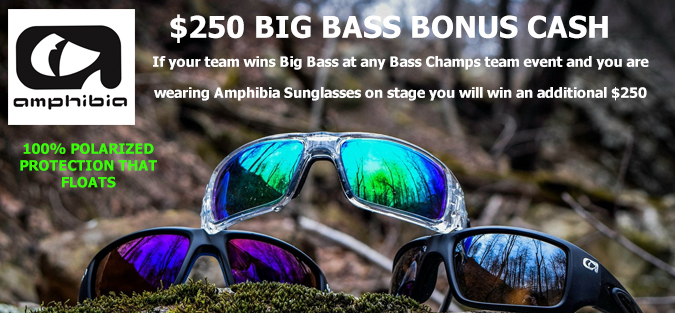 Amphibia Sunglasses