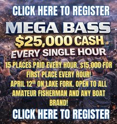 MEGA BASS